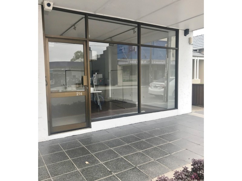 216 Homer Street, Earlwood NSW 2206