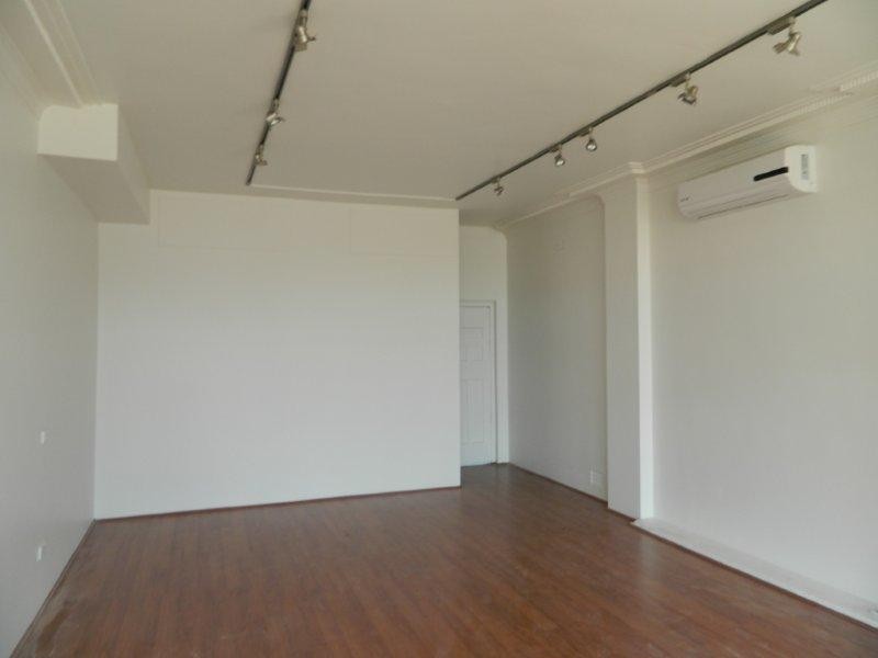 216 Homer Street, Earlwood NSW 2206