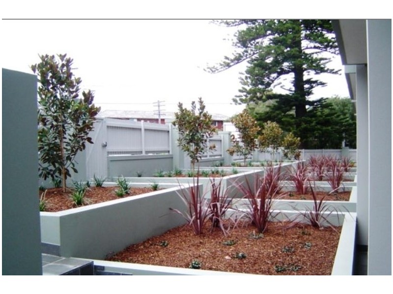 U/34 Avoca Street, Randwick NSW 2031