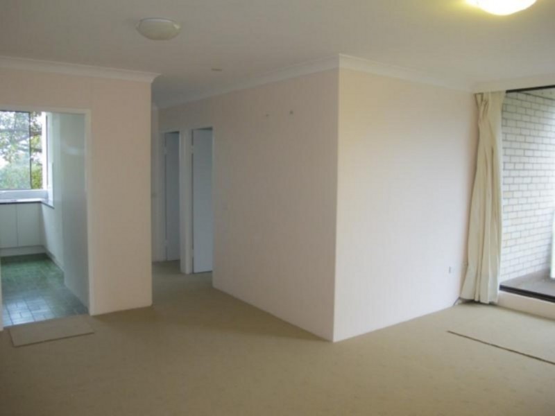 U/244 Alison Rd, Randwick NSW 2031