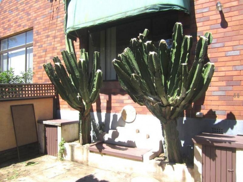 u/66 Albion Street, Randwick NSW 2031