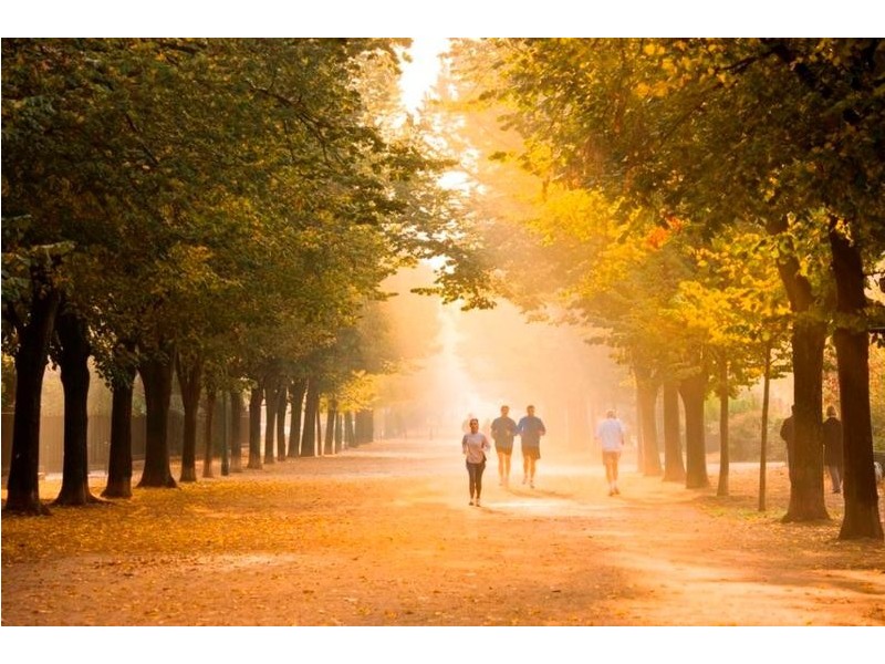 302 and 502/9-15 Ascot Street, Kensington NSW 2033