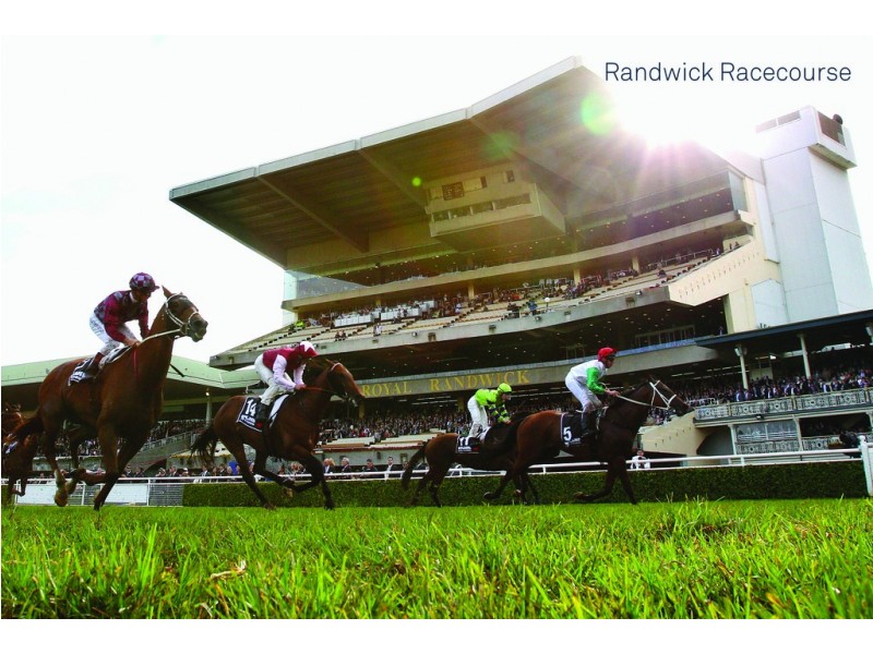 511/34-52 Alison Road, Randwick NSW 2031