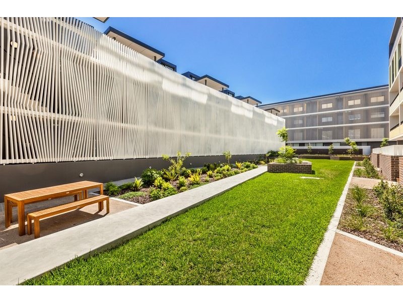 U/203 Barker Street, Randwick NSW 2031