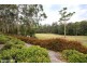 49 Hilltop Parkway, Tallwoods Village NSW 2430