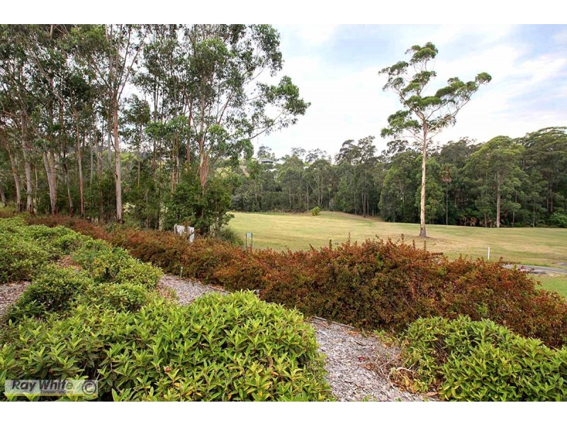 49 Hilltop Parkway, Tallwoods Village NSW 2430