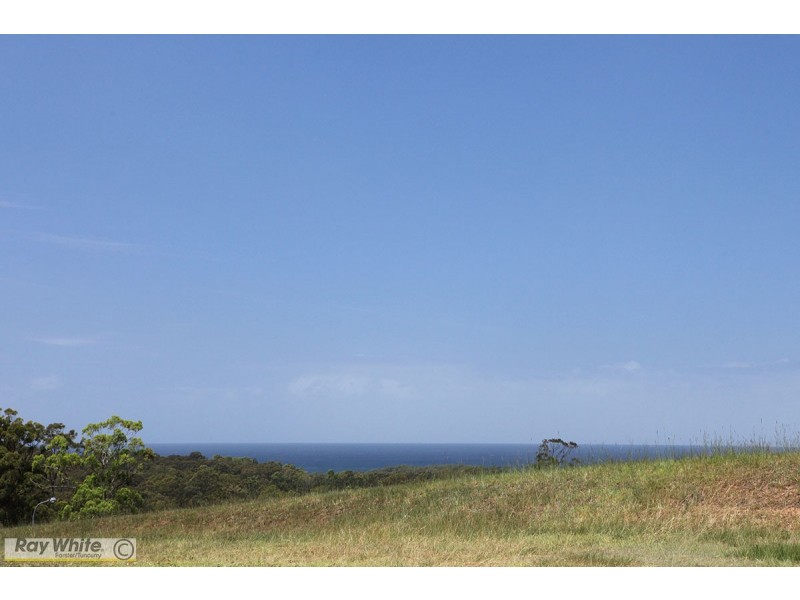 29 Coastal View Drive, Tallwoods Village NSW 2430