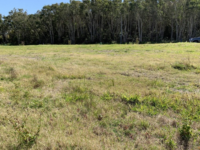 19 Elluisa Close, Forster NSW 2428