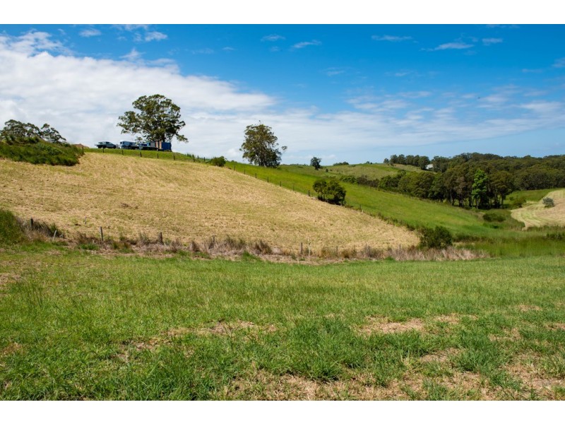 6 Eastern Valley Way, Tallwoods Village NSW 2430