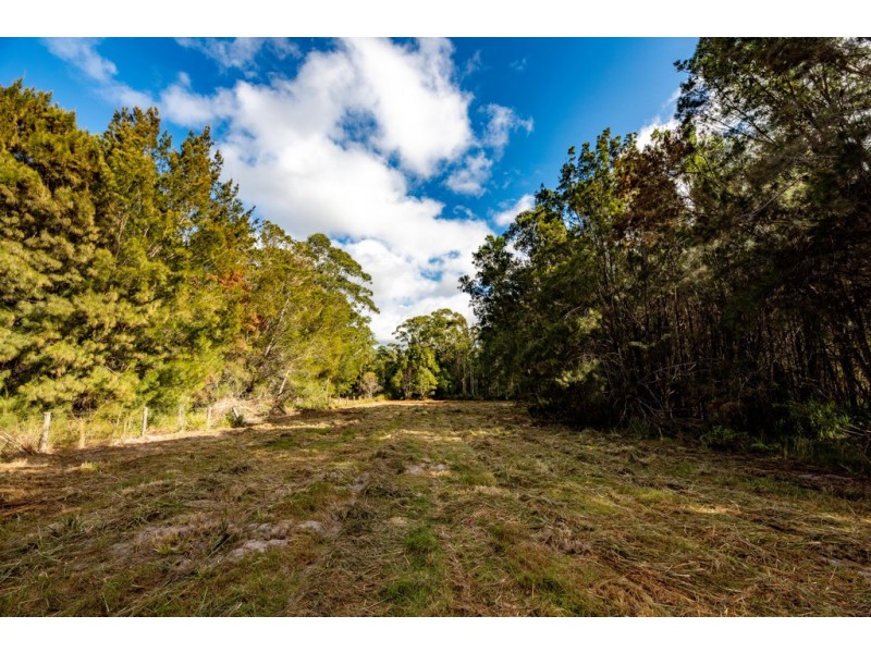 9 Oakview Drive, Hallidays Point NSW 2430