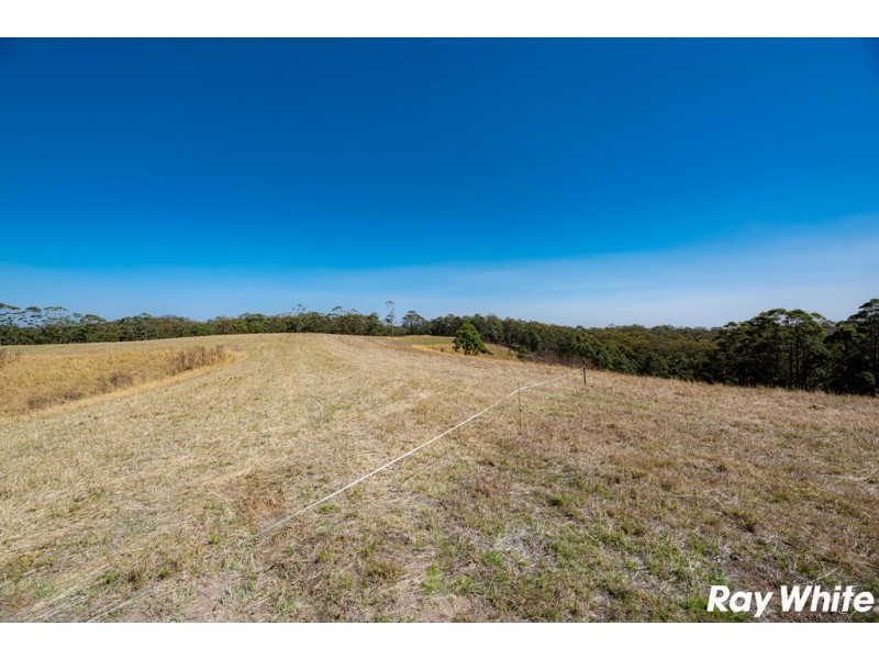 Lot 25 Coastal View Drive, Tallwoods Village NSW 2430