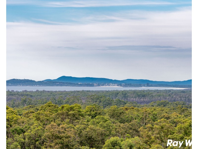 26 St Andrews Court, Tallwoods Village NSW 2430