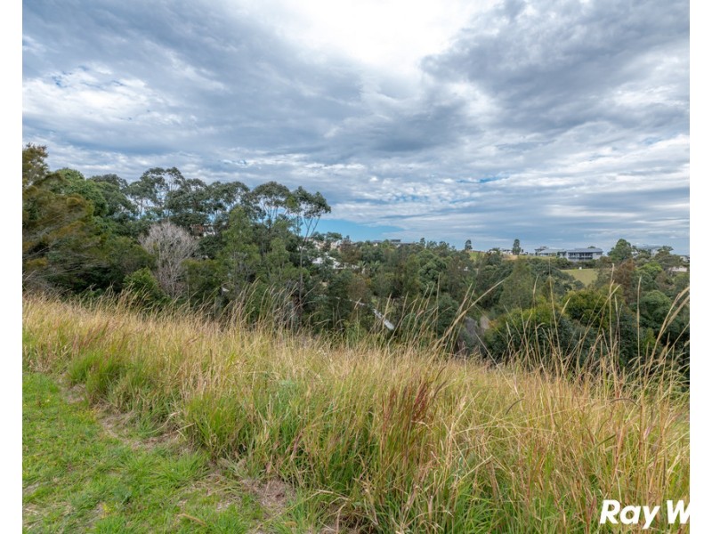 15 Lorikeet Way, Tallwoods Village NSW 2430