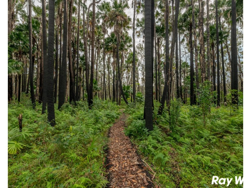 141 South Street, Tuncurry NSW 2428