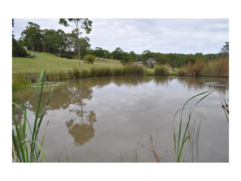 48 Panorama Drive, Diamond Beach NSW 2430