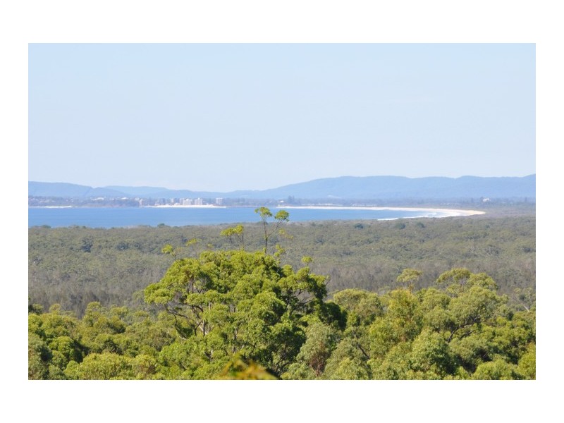 29 Eastern Valley Way, Tallwoods Village NSW 2430