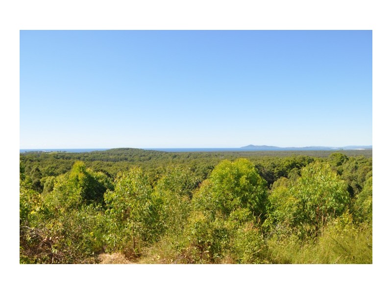 29 Eastern Valley Way, Tallwoods Village NSW 2430