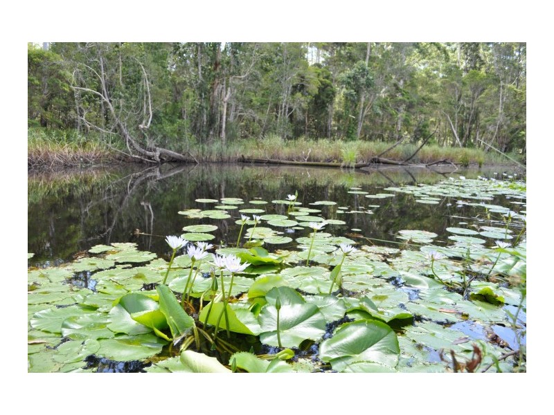 Boolambayte NSW 2423