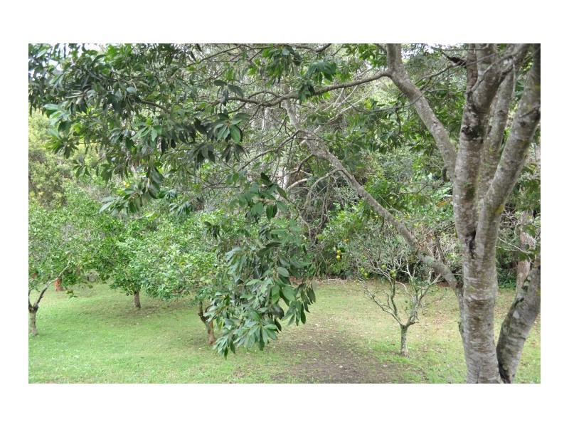 28 Stephen St, Forster NSW 2428