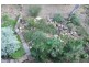 47 Green Point Drive, Green Point NSW 2428