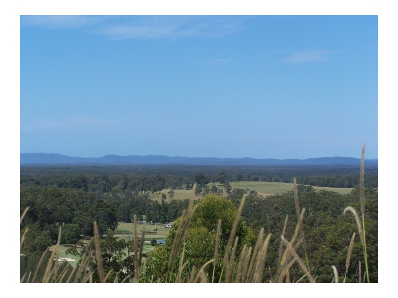 Tallwoods Village NSW 2430