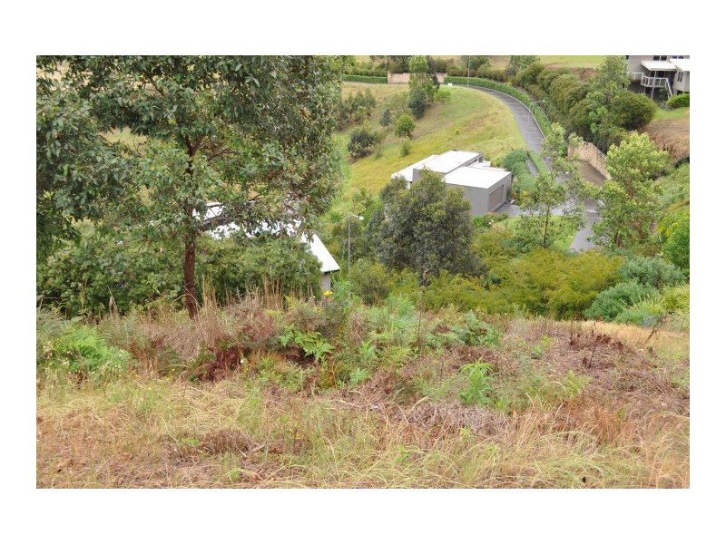 Tallwoods Village NSW 2430