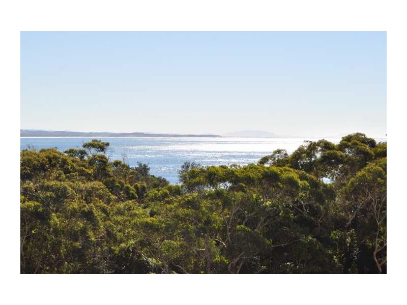 801/39-41 Head Street, Forster NSW 2428