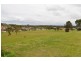 Forster NSW 2428