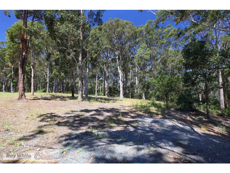 11 Caryota Place, Forster NSW 2428