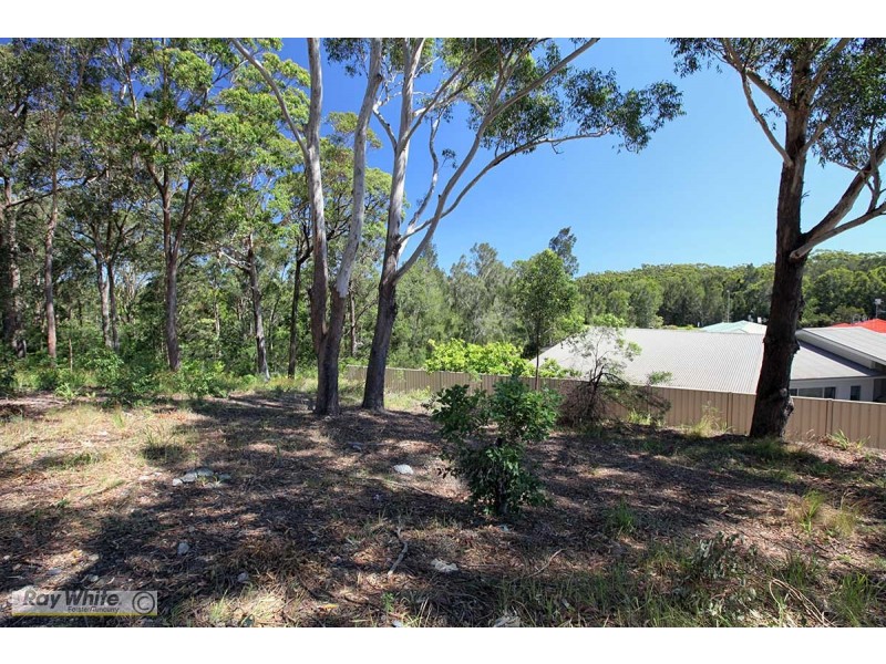 11 Caryota Place, Forster NSW 2428