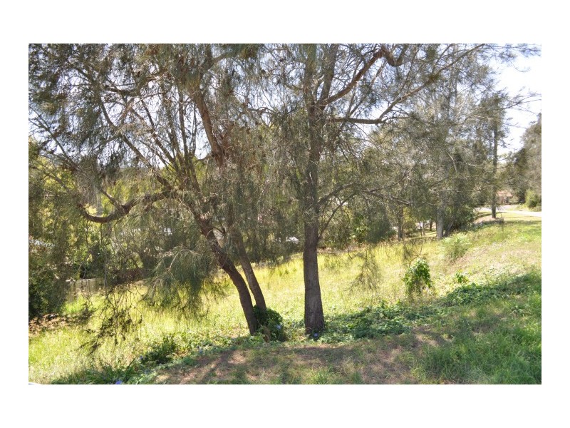 Green Point NSW 2428