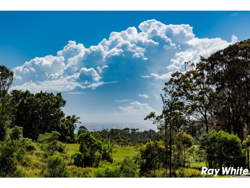 16 Waitpinga Court, Red Head NSW 2430