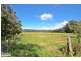 Tuncurry NSW 2428