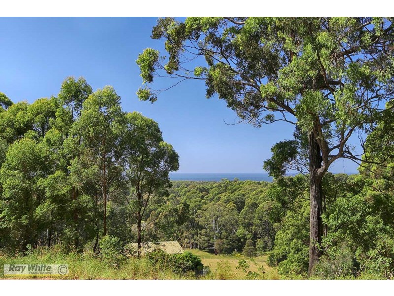 361 Tallwoods Drive, Hallidays Point NSW 2430