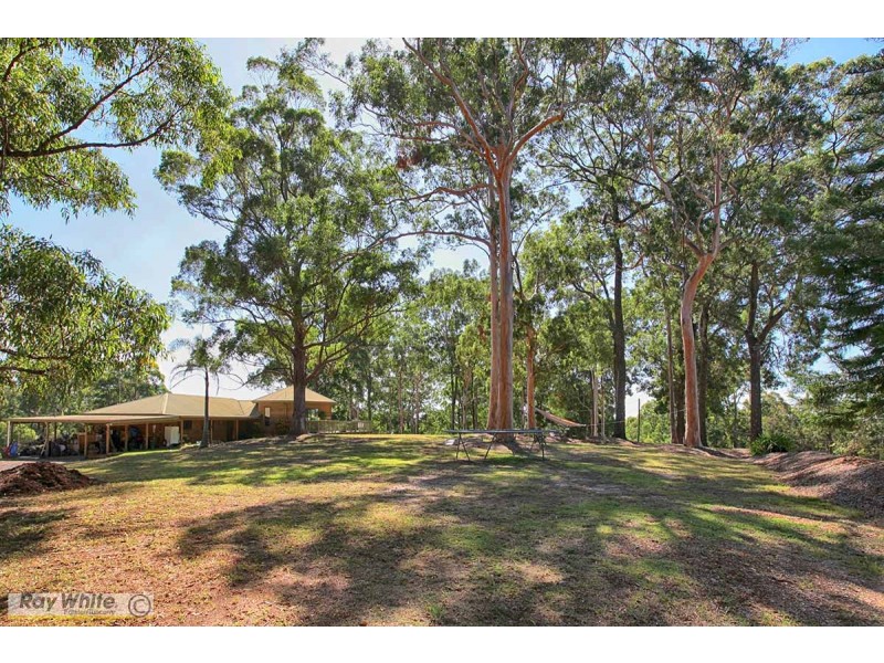 361 Tallwoods Drive, Hallidays Point NSW 2430