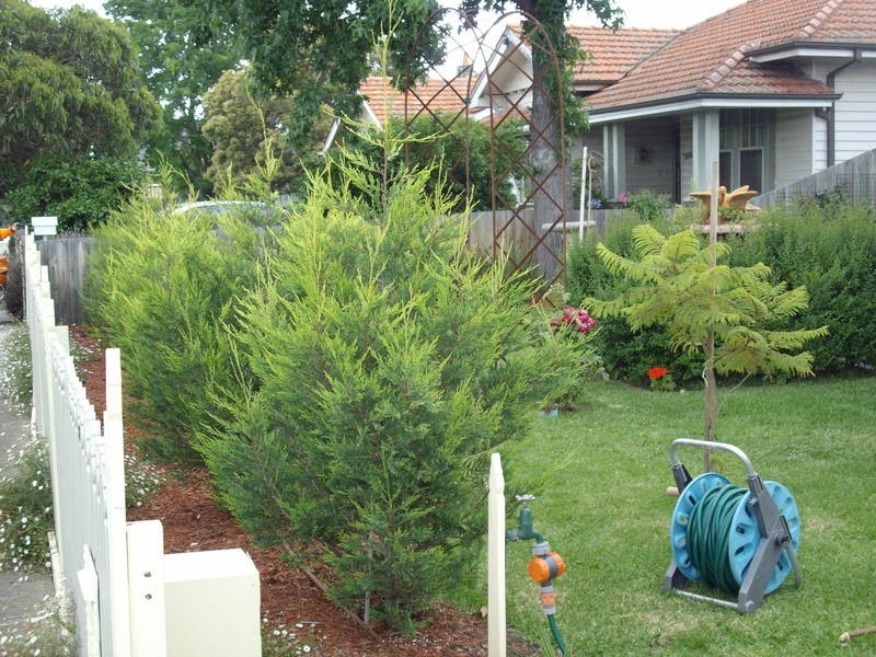 85 REYNOLDS PARADE, Pascoe Vale South VIC 3044