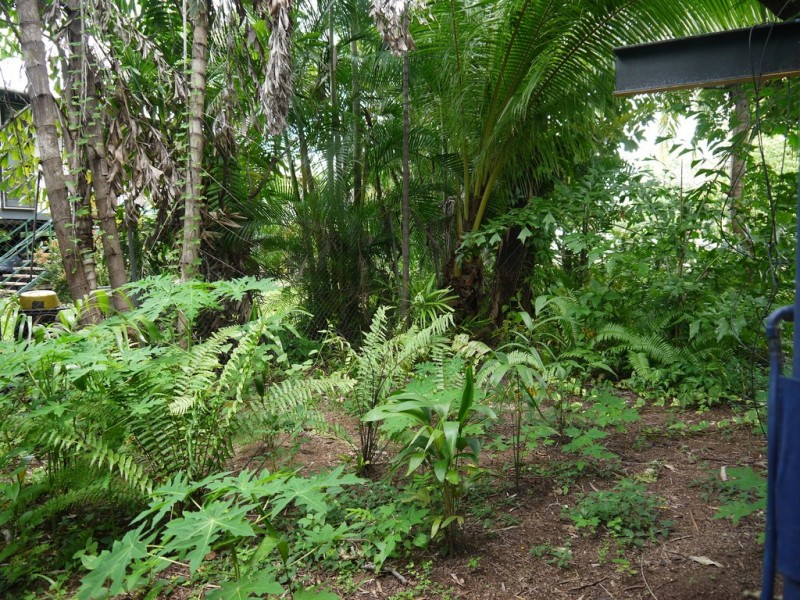 5 Dove St, Katherine NT 0850