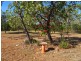 2403 Hendry Road, Katherine NT 0850