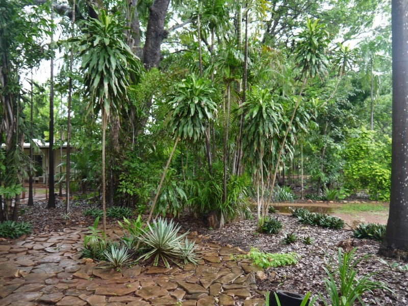 180 Helena Road, Katherine NT 0850