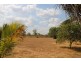 18 Fogarty, Katherine NT 0850