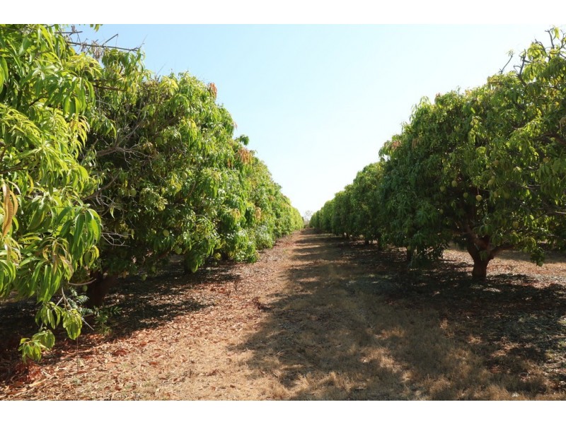 130 Emungalan Road, Katherine NT 0850