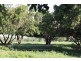 45 Ivanoff Road, Katherine NT 0850