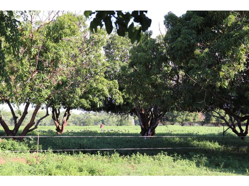 45 Ivanoff Road, Katherine NT 0850