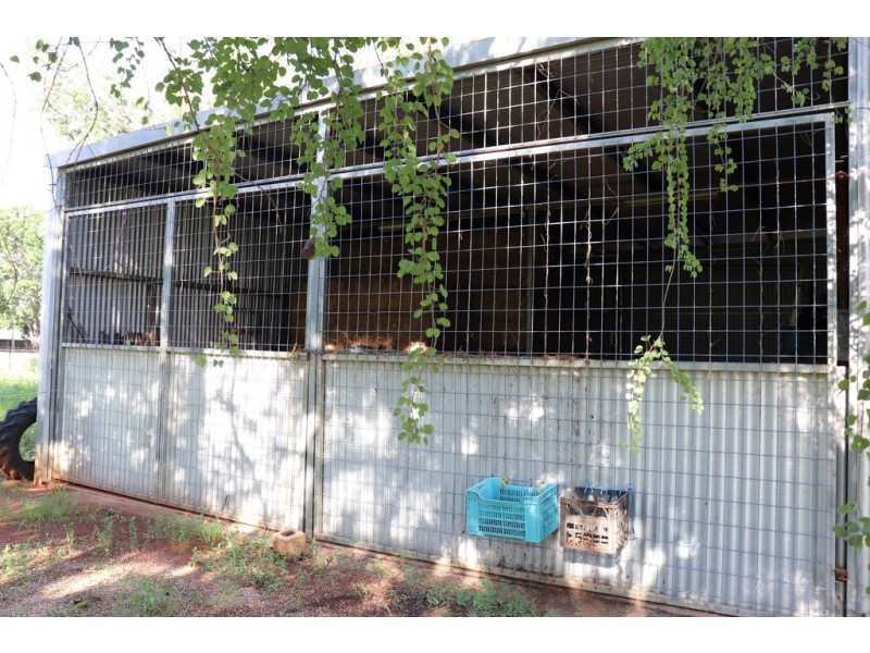 45 Ivanoff Road, Katherine NT 0850