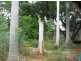 50 Cummings Road, Katherine NT 0850