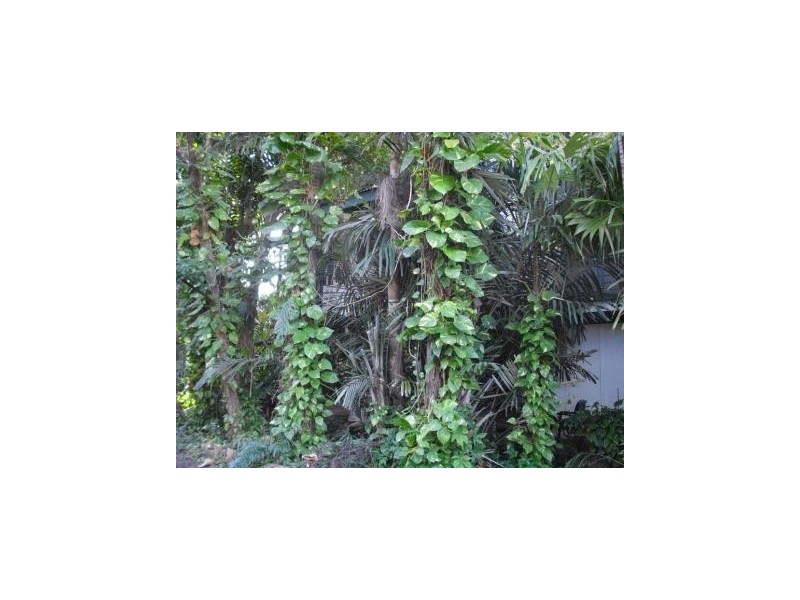 19 Dowling Street, Katherine NT 0850
