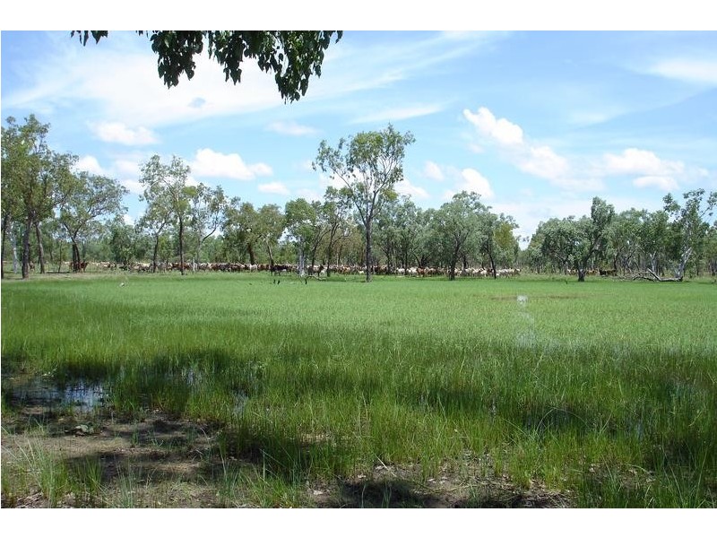 Dry River Gorrie Road, Katherine NT 0850