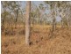 1225 Edith Farms Road, Katherine NT 0850