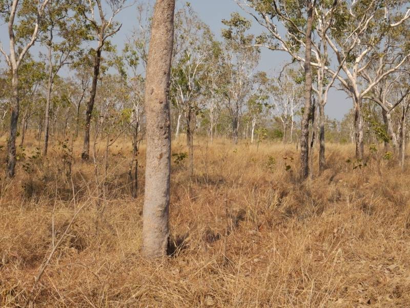 1225 Edith Farms Road, Katherine NT 0850