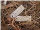 1225 Edith Farms Road, Katherine NT 0850